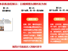 阳光人寿阳光贝B计划1压岁钱销售逻辑22页.pptx