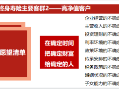 百年珍爱永恒终身寿险客户群体分析投保案例产品特色39页.pptx