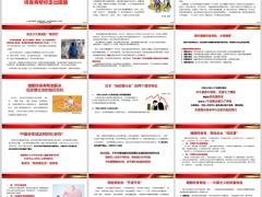 增额终身寿财富理财解决低欲望社会的背后危机16页.pptx 