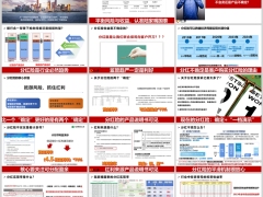 陆家嘴国泰公司红利介绍鸿利鑫享分红险销售逻辑案例41页.pptx 