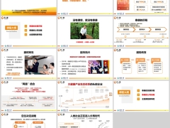 泰康的发展历程公司战略全面拥抱新寿险含备注35页.pptx 
