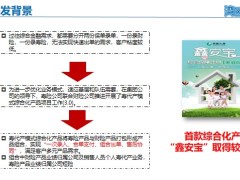 国寿湾区e家欢综合保障计划背景产品亮点介绍寿险责任财险责任21页.pptx