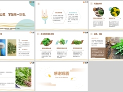 每日健康吃几次蒲公英不如吃一次茼蒿清肝助眠8页.pptx
