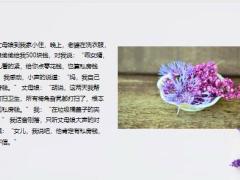 每日快乐早会23年8月3日使用12页.pptx