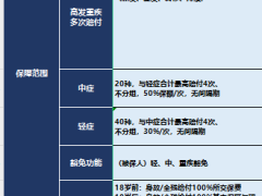 2024中意瑞华海港富德中汇信泰国寿友邦太平重疾对比表.xlsx 