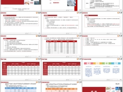 爱心人寿金刚钻养老年金保险产品形态亮点与特色案例介绍16页.pptx 