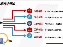 社保与商保基础知识V字图讲社保与商保技能演练30页.pptx