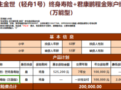 君康金生金世轻舟1号终身寿险君康鹏程金账户终身寿险万能型利益演示.xlsm