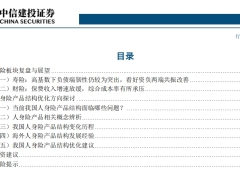 保险行业2024中期策略从人身险产品的变迁看险企转型未来60页.pdf 