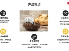 国联人寿福相伴B年金产品亮点形态清单17页.pptx