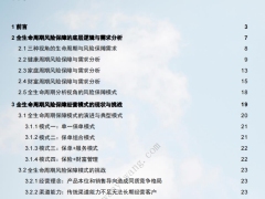 全生命周期风险保障经营模式研究报告44页.pdf 