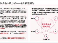 银发经济政府工作报告解读银发产业市场分析17页.pptx