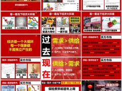 2024最后的3.0保险理财五项功能停售宣传24页.pptx