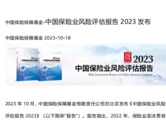 2023中国保险业风险评估报告9页.pdf