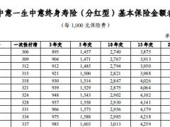 中意一生中意终身寿险分红型条款费率.zip