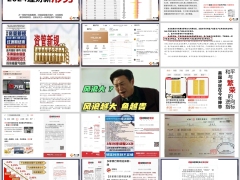 瑞众人寿瑞享荣耀产品案例特点利益与功能相结合29页.pptx 