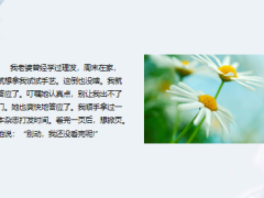 每日快乐早会24年1月31日使用12页.pptx