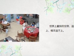 每日快乐早会23年8月15日使用12页.pptx