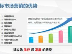 市场细分寻找目标客户体验式营销含备注29页.pptx