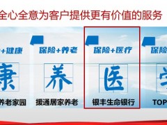 新华人寿荣耀鑫享庆典版增额终身寿产品宣传案例演示25页.pptx
