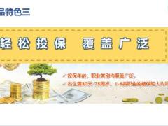 中英人寿3.0产品体系鑫享未来2号康享人生特色投保规则投保示例45页.pptx