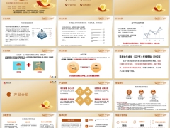 君康金生金世红1号终身寿险分红型开发背景产品介绍投保规则案例28页.pptx 