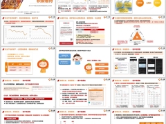 2024年度双低时代红利实现率调整宣导泰康版26页.pptx 