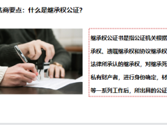 客户传承反对质疑问题防范传承资产外流破解继承权公证难关32页.pptx