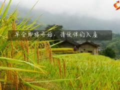 秋天稻穗丰收早会流程模板10页.pptx