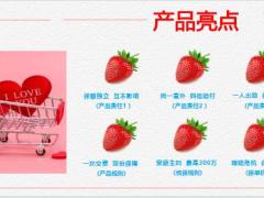 华贵大麦甜蜜家2023定期寿险开发背景产品介绍温馨提示及保全服务21页.pptx