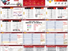 北京京福传世爱尊耀版终身寿险产品五要素亮点总结38页.pptx 