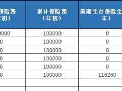 新华人寿欣安顺两全保险利益演示自动计划书.xlsx