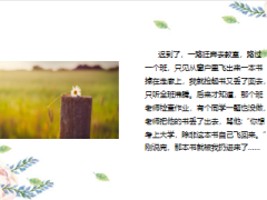 每日快乐早会23年12月29日使用12页.pptx