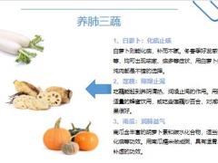 每日健康肺部救星每天吃点清除肺部垃圾养肺更润肺10页.pptx