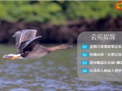 秋天雁南飞早会流程模板10页.pptx