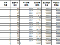 瑞华新瑞保终身重大疾病保险2.0版利益演示表.xlsx