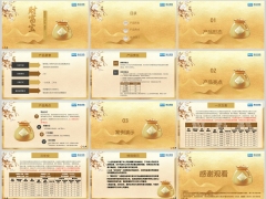 瑞众财富宝两全保险分红型鑫瑞版产 品形态亮点案例演示13页.pptx
