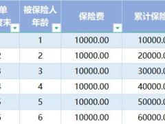 和谐健康喜多多终身护理保险B款利益演示工具.xlsm
