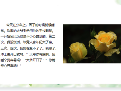 每日快乐早会23年7月12日使用12页.pptx