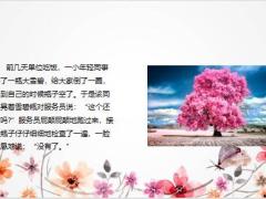 每日快乐早会23年9月13日使用12页.pptx