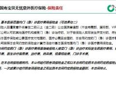 国寿宝贝无忧特定疾病保险和国寿宝贝无忧意外医疗保险产品设计形态18页.pptx