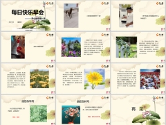 每日快乐早会24年8月15日使用12页.pptx