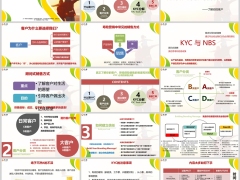 保险营销KYC客户分类建立信任分解配套工具销售逻辑33页.pptx 
