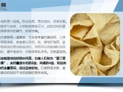每日健康秋分前不吃肉也要吃它钙含量是牛奶的2倍护心抗衰12页.pptx
