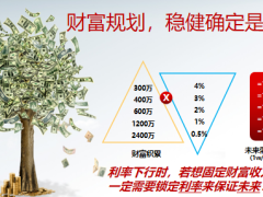 太保长相伴传世尊享版宣导产品形态客群分类29页.pptx