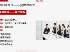 保险新人有效辅导训练专题职级晋升三个关键阶段规划14页.pptx