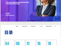 2024保险行业首席执行官展望21页.pdf 