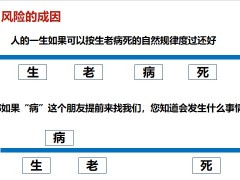 国寿康宁重大疾病保险庆典版产品基本形态庆典八宝37页.pptx