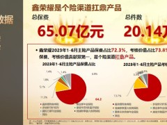 新华人寿荣耀鑫享终身寿险销售数据产品解析案例分析43页.pptx