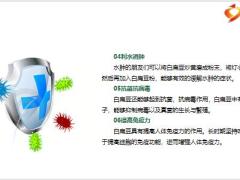 每日健康白扁豆夏天第一豆除湿气降糖抗病毒击比鸡蛋牛奶还营养16页.pptx